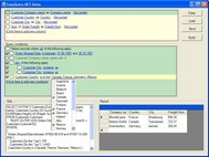 EasyQuery.NET (WinForms) screenshot